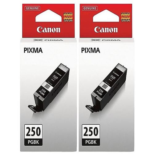Original Canon PGI 250 Twin Black Ink Cartridge, Standard Yield, 2/Pack (6497B001)